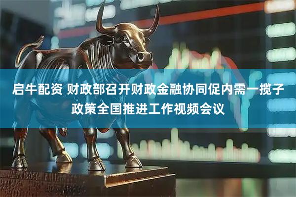 启牛配资 财政部召开财政金融协同促内需一揽子政策全国推进工作视频会议