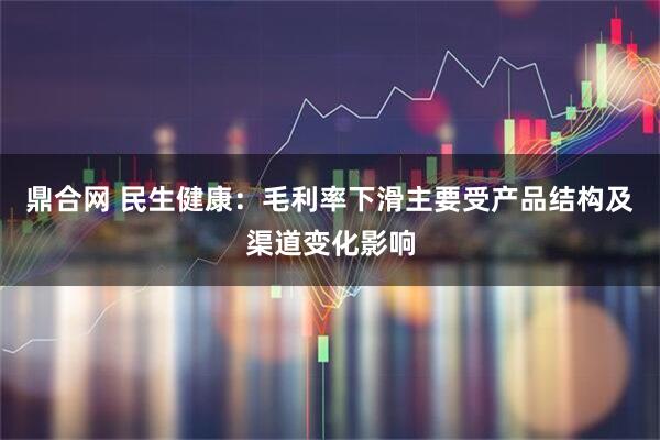 鼎合网 民生健康：毛利率下滑主要受产品结构及渠道变化影响