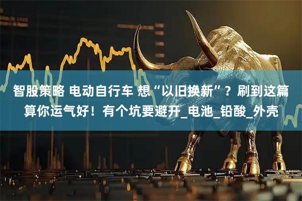 智股策略 电动自行车 想“以旧换新”？刷到这篇算你运气好！有个坑要避开_电池_铅酸_外壳