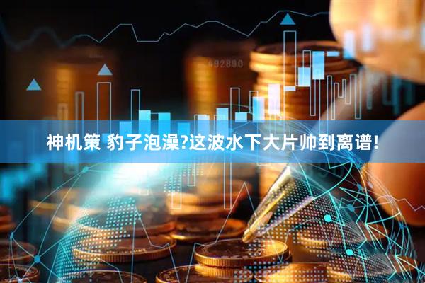 神机策 豹子泡澡?这波水下大片帅到离谱!