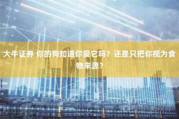 大牛证券 你的狗知道你爱它吗？还是只把你视为食物来源？