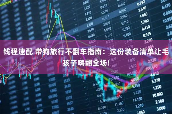 钱程速配 带狗旅行不翻车指南：这份装备清单让毛孩子嗨翻全场!